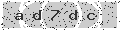 verify code