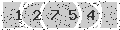 verify code