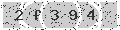 verify code