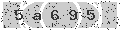 verify code
