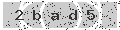 verify code