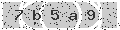 verify code